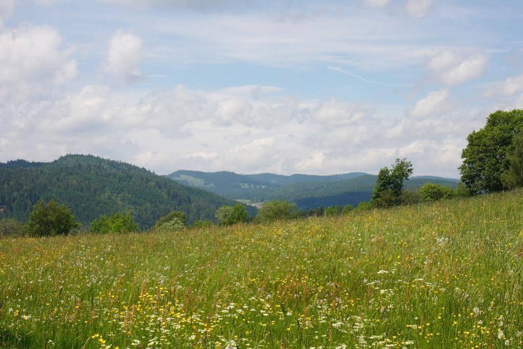 Parkhotel Waldlust Hausern Bagian luar foto