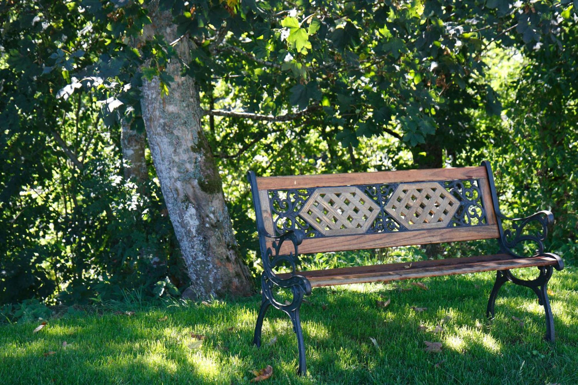 Parkhotel Waldlust Hausern Bagian luar foto